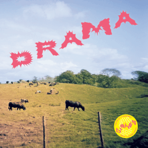 Pre-order: Dishes - Drama [SR135] LP